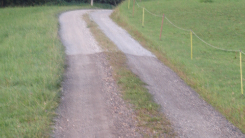 mit und ohne Sulfitlauge