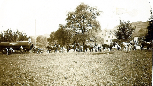 Schwerlasttransport 12-spännig